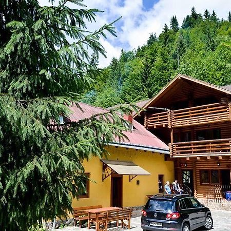 Cabana Bradul Rodna Exterior foto